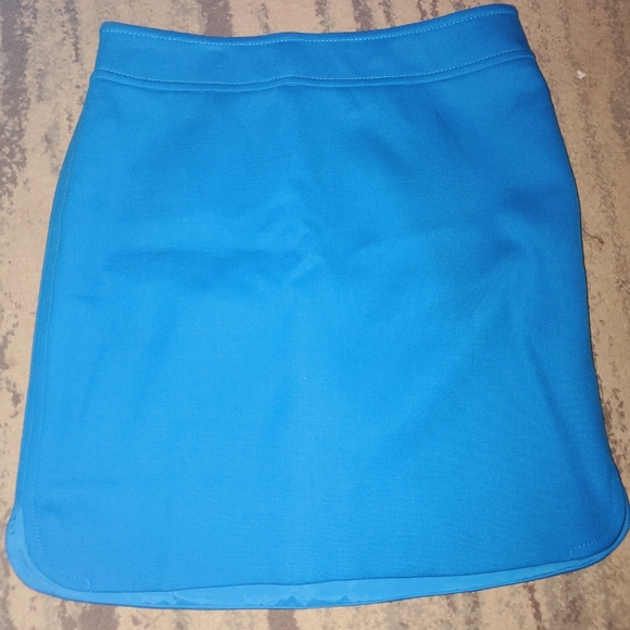 Ann Taylor skirt - Picture 1 of 4